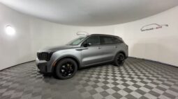 
 Kia Sorento Hybrid full									