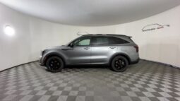 
 Kia Sorento Hybrid full									