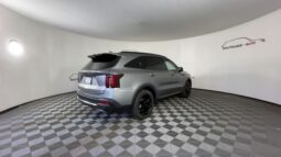 
 Kia Sorento Hybrid full									