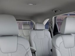 
 Kia Sorento Hybrid full									