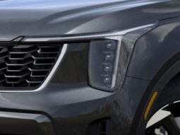 
 Kia Sorento Hybrid full									