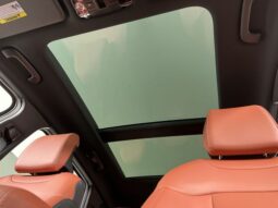 
 Kia Sportage Hybrid full									