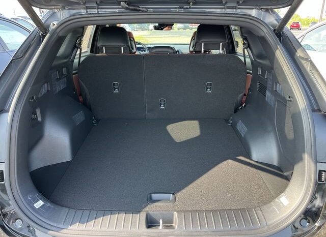 
 Kia Sportage Hybrid full									