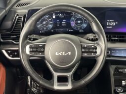 
 Kia Sportage full									