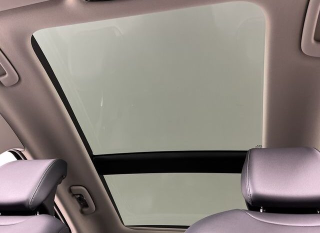 
 Kia Sportage Hybrid full									