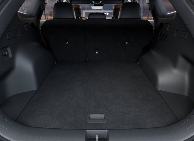 
 Kia Sportage Hybrid full									