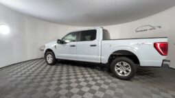 
 Ford F-150 full									