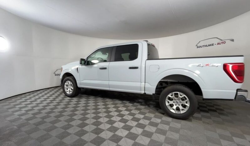 
 Ford F-150 full									