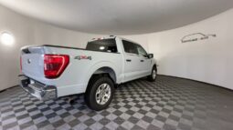 
 Ford F-150 full									