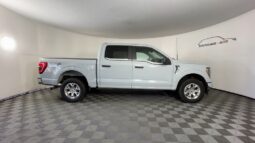 
 Ford F-150 full									