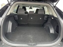 
 Toyota RAV4 full									