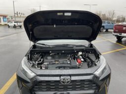 
 Toyota RAV4 full									