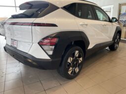 
 Hyundai Kona full									