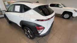 
 Hyundai Kona full									