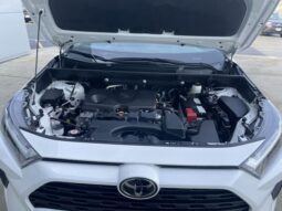 
 Toyota RAV4 full									