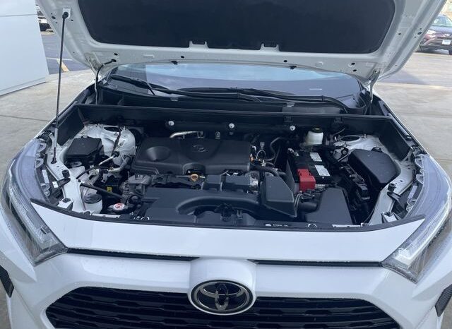 
 Toyota RAV4 full									