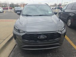 
 Ford Escape full									