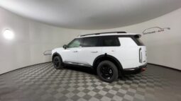 
 Kia Telluride full									
