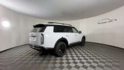 
 Kia Telluride full									