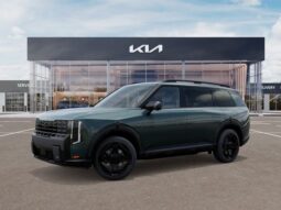 
 Kia Telluride full									
