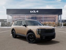 
 Kia Telluride full									