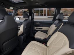 
 Kia Telluride full									