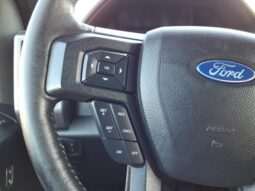
 Ford F-150 full									