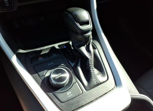 
 Toyota RAV4 Hybrid full									