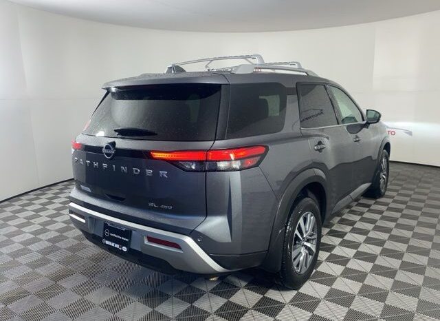 
 Nissan Pathfinder full									
