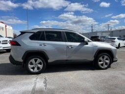 
 Toyota RAV4 Hybrid full									