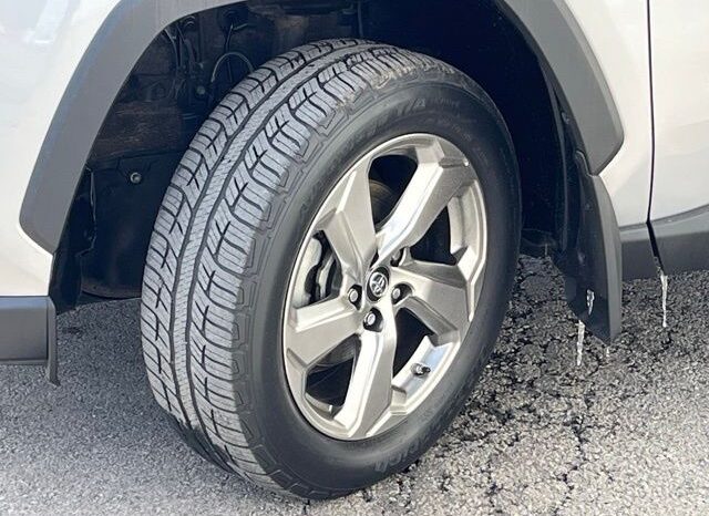 
 Toyota RAV4 Hybrid full									