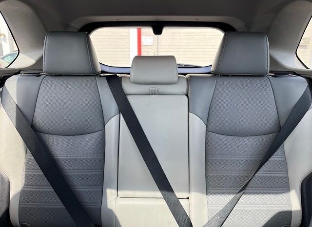 
 Toyota RAV4 Hybrid full									