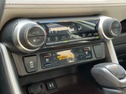 
 Toyota RAV4 Hybrid full									