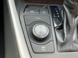 
 Toyota RAV4 Hybrid full									