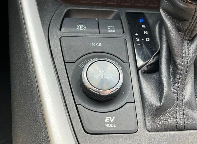 
 Toyota RAV4 Hybrid full									