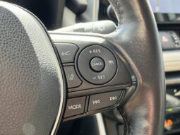 
 Toyota RAV4 Hybrid full									
