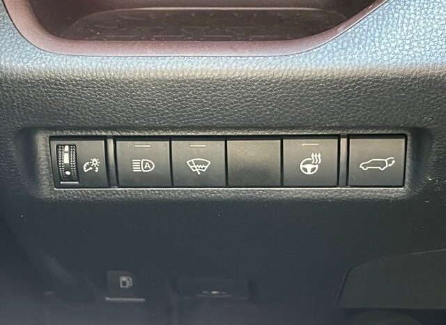 
 Toyota RAV4 Hybrid full									