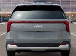 
 Kia Carnival full									