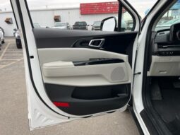 
 Kia Carnival full									