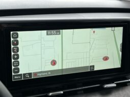 
 Kia Carnival full									