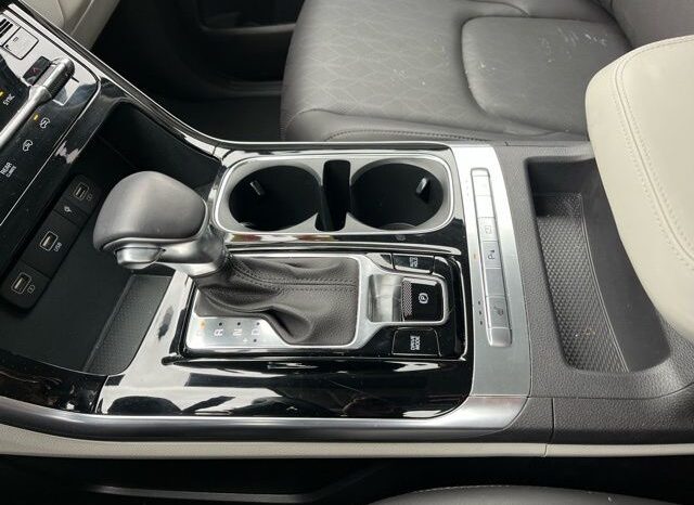 
 Kia Carnival full									