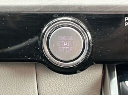
 Kia Carnival full									