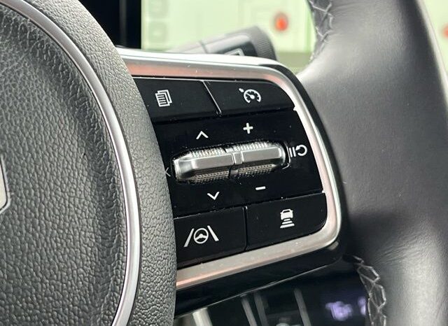 
 Kia Carnival full									