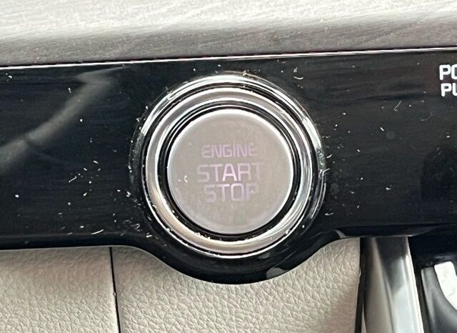 
 Kia Carnival full									