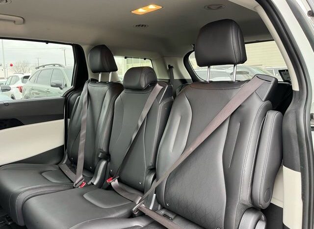 
 Kia Carnival full									