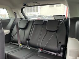 
 Kia Carnival full									