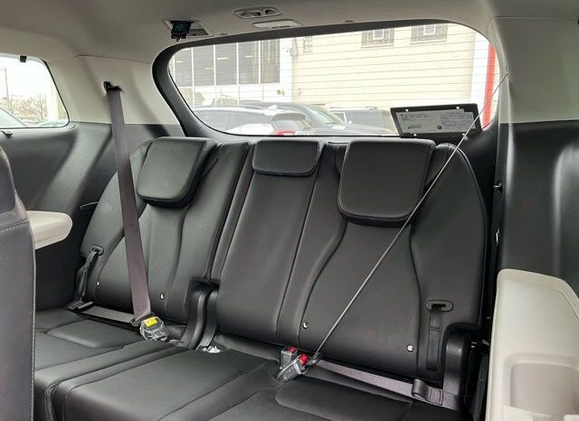 
 Kia Carnival full									