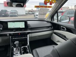 
 Kia Carnival full									