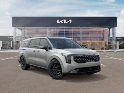 
 Kia Carnival Hybrid full									