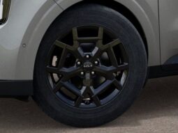 
 Kia Carnival Hybrid full									